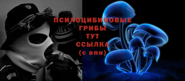 мефедрон Гусиноозёрск