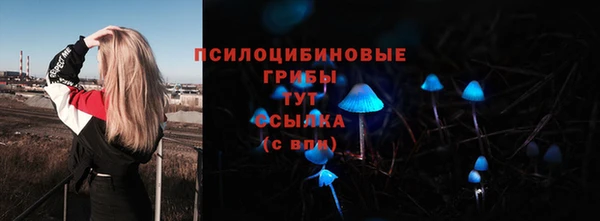 mix Абаза